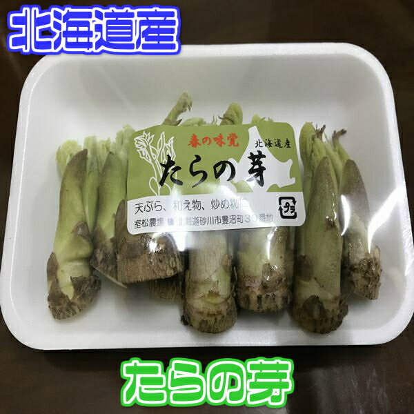 【北海道産】タラの芽　たらの芽　タラノメ【野菜詰め合わせセットと同梱で送料無料】...:808seika:10000181