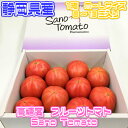 【静岡県浜松産】とってもあま〜い 高糖度フルーツトマト SanoTomato【クール便推奨商品】【常温便送料無料】(北海道・沖縄県のお客様は送料1000円)【1箱 8玉〜13玉入り】