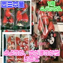 【西日本産】旬のいちごまとめ買割 5箱 約250g×20パッ...
