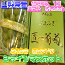 【山梨県産】匠の葡萄 シャインマスカット ふえふき 化粧箱入 風袋込 1房 約600g 秀品 ギフト 贈答 ラッピング のし可【同梱不可】【クール便 送料無料】(北海道・沖縄県のお客様は送料別途1000円)