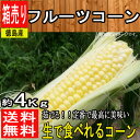 【徳島県産】フルーツコーン 1箱 約4kg【常温便送料無料】...