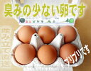 新鮮な野菜を食べたニワトリが生んだ卵【野菜たまご】自然な色合いです【注文の翌日発送を心がけています】