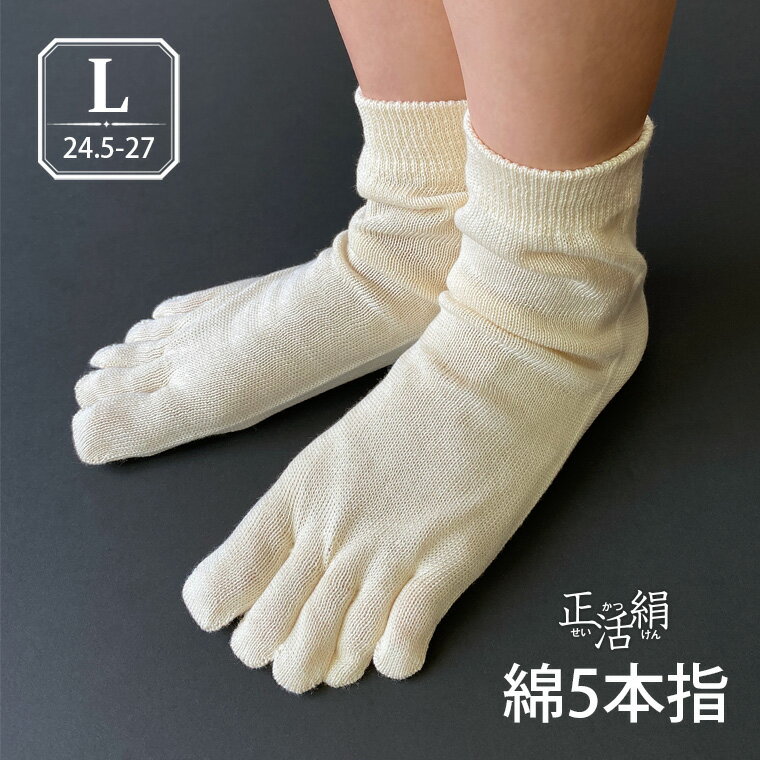 【冷えとり靴下 正活絹】綿5本指靴下(L) 綿10