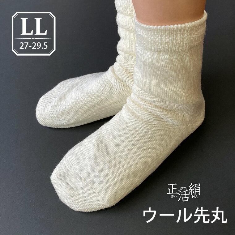 【冷えとり靴下 正活絹】ウール先丸靴下(LL) ウ