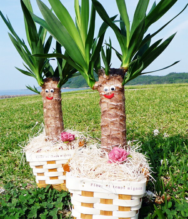 ڴ̵ָۡ14OFFۥեȥåԥ󥰡å̵£ʪ˺Ŭξд Tree Peopleڤο͡åФˤʡ褿롣ʥǺΥХåȤˤ襤եΤդå1ġ10P12oct10