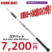 打撃練習　コアバット COREBAT NCB-85B トレーニングバット 内田販売システムの画像