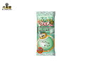 赤城乳業 ガリガリ君リッチ チョコミント26本入(棒) TVCM ラクトアイス 夏合宿 差入 かき氷のチョコミント