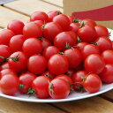 【送料無料】原村 きよみず農園 八ヶ岳 ミニトマト 1.2kg 御歳暮 お歳暮