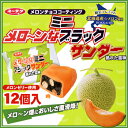 (ユーラク製菓)【メローンなミニブラックサンダー】袋入り 12個入