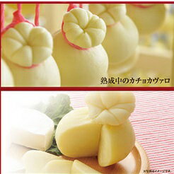 花畑牧場【カチョカヴァロ】180g