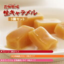 花畑牧場 生キャラメル プレーン 北海道産 メロン 北海道産 いちご3個 セットお取り寄せ スイーツギフト 熨斗 北海道土産 人気 暑中見舞い 敬老の日
