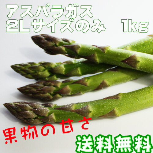 送料無料 特大サイズ【L】1kg　北海道産グリーンアスパラガス