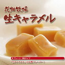 花畑牧場 生キャラメル 2箱組 ギフト 北海道土産