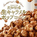 送料無料 花畑牧場 生キャラメルプレミアムポップコ