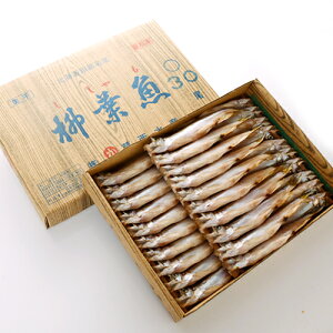 生干 柳葉魚（オス） 干しシシャモ 30尾 葛西水産ギフト 熨斗北海道土産 人気 ししゃもお中元 敬老の日