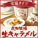 花畑牧場 生キャラメル 常温 タイプ 72g 約1