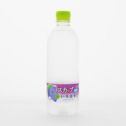 【送料無料 同梱不可品】<strong>いろはす</strong>　<strong>ハスカップ</strong>　540ml×24本【北海道限定】【日本コカコーラ株式会社】