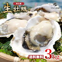 殻付き真牡蠣(生食用) 3kg 九十九島産 産地直送 長崎 