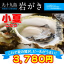 【レア種】《九十九島産》(生)岩牡蠣「小夏」約2Kg 18〜20個前後/かきナイフ・柑橘類・開け方ガイド付きで安心!【送料無料】御中元にも最適!
