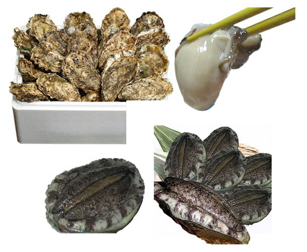 自慢の厳選2セット【殻付牡蠣】1.5kgナイフ付【活エゾアワビ】5個【smtb-ms】