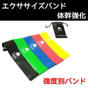 エクササイズバンド/トレーニングバンド/フィットネス/インナ...