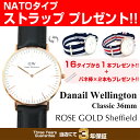 ¡ÚʹÔÍ¢ÆþÉÊ¡ÛDaniel Wellington 0508DW ¥À¥Ë¥¨¥ë¥¦¥§¥ê¥ó¥È¥ó ÏÓ»þ·× Classic 36mm ROSE GOLD Sheffield ¥í¡¼¥º¥´¡¼¥ë¥É ¥·¥§¥Õ¥£¡¼¥ë¥É