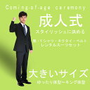 【レンタル】ブラックスーツ成人式スーツ ...