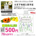 【8月下旬頃入荷予定】楽天1位 BOTANICAL ピコモン...