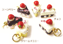 エポチャーム スイーツ【ショートケーキ】 (1ヶ)