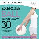 オータムセール限定ポイント5倍/13日0時?20日9時までアルインコ直営店 ALINCO 合計5,400円(税込)以上で基本送料無料 EXG024/エクササイズボール30CM バランスボール 骨盤エクササイズ 骨盤矯正 腹筋wellbody