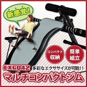 腹筋マシンアルインコ直営店 ALINCO 基本送料無料 EXG042 マルチコンパクトジム 【シット...:a-fitness:10000292