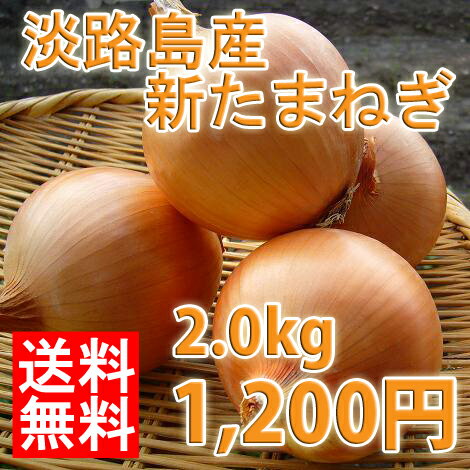 【たまねぎ/お試し/2kg】【生産者限定】【レビューで送料無料】淡路島産たまねぎ 2kg 開店セール1204 【0603superP2】【smtb-k】【w1】【tg-w1】（中生種/玉葱/玉ねぎ/タマネギ/たまねぎ/玉ネギ/淡路島/2kg/産直お中元/お中元/楽天/通販）【送料込み】淡路島産新たまねぎ中生種2kg有名飲食店・ホテル指名買い！温暖な淡路島で生産者を限定し、有機肥料も使用し育てた、やわらかくて、みずみずしい淡路産新玉ねぎです！