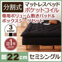 分割式マットレスベッド 専用敷きパッドセット ポケットコイルマットレスタイプ セミシングルベッド ※敷きパッド付属品 脚22cmセミシングルベッド 脚付きマットレス 脚付き 寝床
