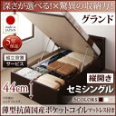 組立設置付 国産跳ね上げ収納ベッド Clory クローリー 薄型抗菌国産ポケットコイルマットレス付き 縦開き セミシングル 深さグランド