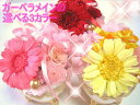 あす楽【送料無料】プリザーブドフラワー/結婚祝い/プリザーブドフラワー 誕生日/プレゼント/誕生日プレゼント/フラワーギフト/お見舞い/送別/退職祝/結婚記念/花/安/ガーベラ/誕生日/母の日/プリザーブドフラワー 母の日/プリザ【楽ギフ_包装】【楽ギフ_メッセ入力】