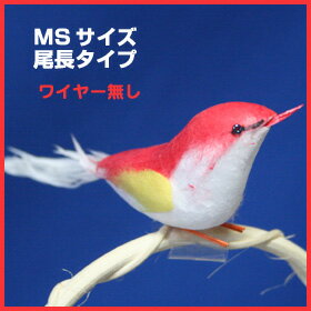 ミニチュアバード尾長・MSサイズワイヤーなしタイプ（赤×黄）