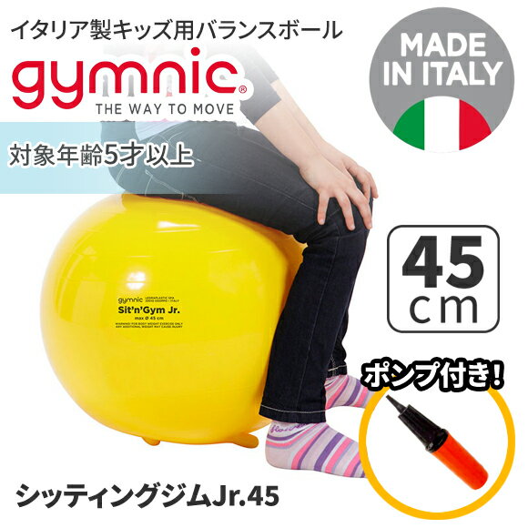 トレーニング解説書無料進呈！【適応身長120cm以下の方】美しい姿勢が基本！足のついたバランスボール。Sit'n'Gym シッティングジム45cm