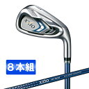 【送料無料】DUNLOP XXIO9(ゼクシオナイン) アイアンセット 8本組 (5-Sw) MP900 R【日本正規品】