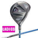 【送料無料】キャロウェイ BIG BERTHA BETA(ビッグバーサベータ) 2016 ヘヴンウッド GP for BIG BERTHA A【日本正規品】