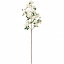 【送料無料】東京堂 FW032440-001 造花 ベルリール ローズブランチ#1 WHITE【同梱配送不可】【代引き不可】【沖縄・北海道・離島配送不可】