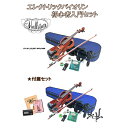 【送料無料】Hallstatt EV-30 (13)SET-DVD/NBR