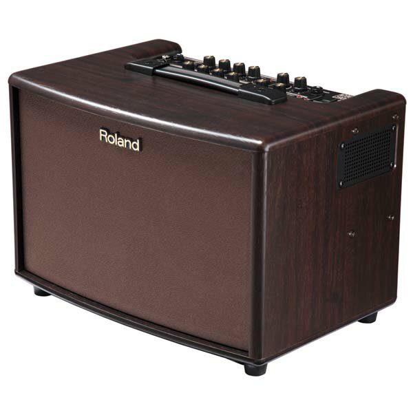 【送料無料】【RCPmara1207】ROLAND AC-60-RW