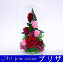プリザーブドフラワー 【送料無料】 【RCP】PRローズ【楽ギフ_のし】母の日/還暦祝い/内祝い/結婚記念日/新築祝い/結婚祝い/プリザ/花/ブリザードフラワー/プリザードフラワー/歓送迎/名いれ 母の日