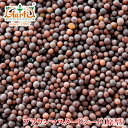 ブラウンマスタードシード　20g　【常温便】【Brown Mustard Seeds】【原型】【マスタードシード】【マスタード】【シード】【ホール】【芥子】【からし】【スパイス】【ハーブ】【香辛料】【調味料】【業務用】【取寄】【卸売】【仕入】　ゆうメール便で送料無料