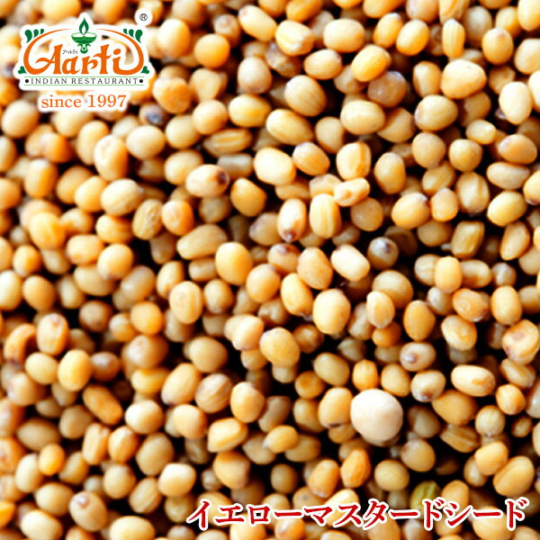 イエローマスタードシード　1kg / 1000g　【業務用】【常温便】【Yellow Mustard Seeds】【原型】【マスタード】【シード】【ホール】【芥子】【からし】【スパイス】【ハーブ】【香辛料】【調味料】【取寄】【卸売】【仕入】　10000円以上で送料無料