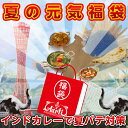 【送料無料】アールティー夏の元気福袋!【インド料理】【期間限定】【スパイス】【a_2sp0622】【smtb-k】【kb】