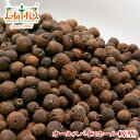 オールスパイスホール 500g 常温便,原型,Allspice Whole,ピメント 14000円以上で送料無料, よーいドン, よーいどん, 関西ワーカー