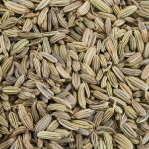 フェンネルシード100g【常温便】【FennelSeeds】【原型】【フェンネル】【シード】【ホール】【茴香】【小茴香】【スパイス】【ハーブ】【香辛料】【調味料】【業務用】【取寄】【卸売】【仕入】10000円以上で送料無料