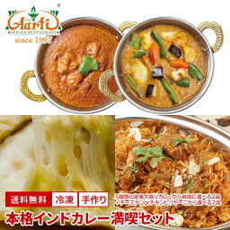 本格インドカレー満喫セット 送料無料 インド料理 セット商品 まとめ買い ギフト 母の日 父の日