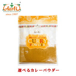 選べる オリジナルカレーパウダー レシピ付き 400g ゆうパケット送料無料Aarti Original Curry Powder ミックススパイス <strong>カレー粉</strong> ヘルシー 時短カレー あさイチ お買い得 大容量